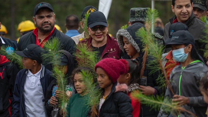 Presidenta Castro reforestación Presidenta Castro reforestación