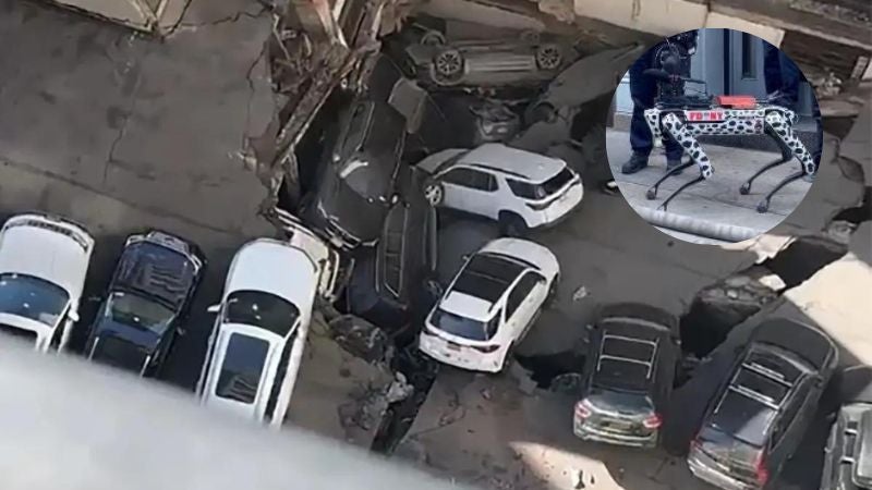 Perro robot en Nueva York Perro robot en Nueva York