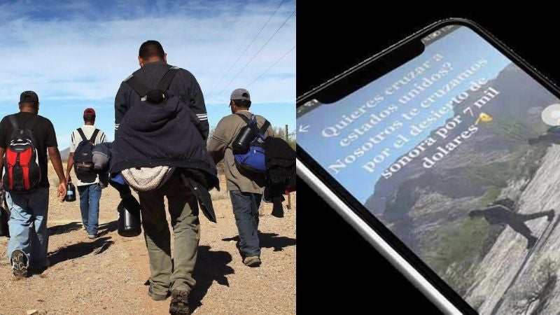 Coyotes usan TikTok Coyotes usan TikTok