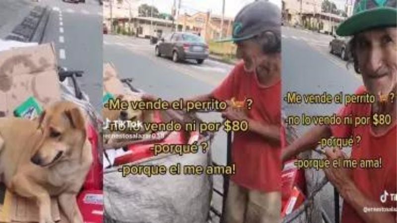 hombre rechaza oferta por perrita hombre rechaza oferta por perrita