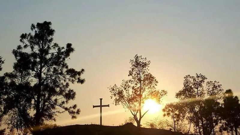 Día de la Cruz. Día de la Cruz.