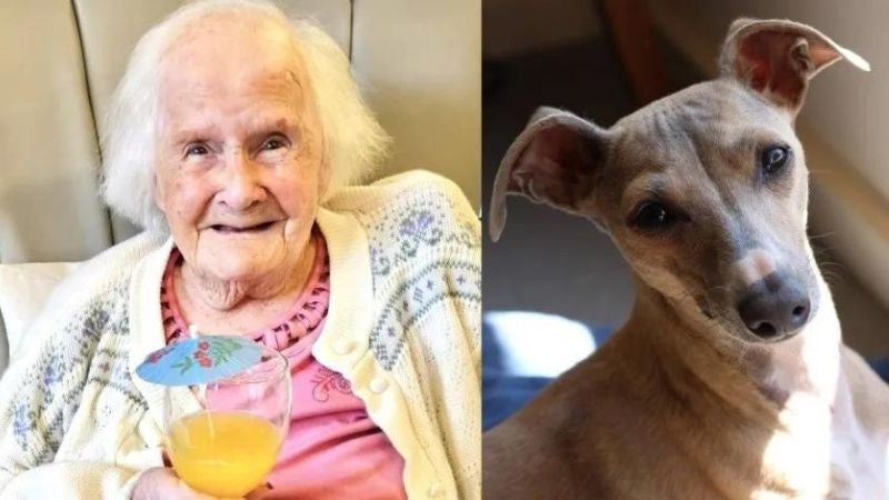 mujer de 108 años da su secreto mujer de 108 años da su secreto