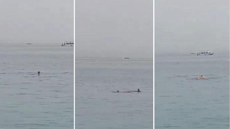 hombre muere atacado por tiburón