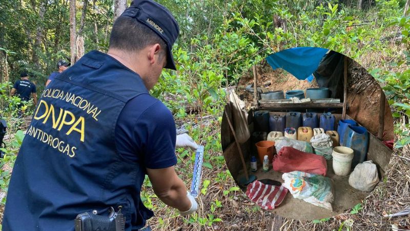 DNPA asegura dos plantaciones de supuesta coca y un laboratorio
