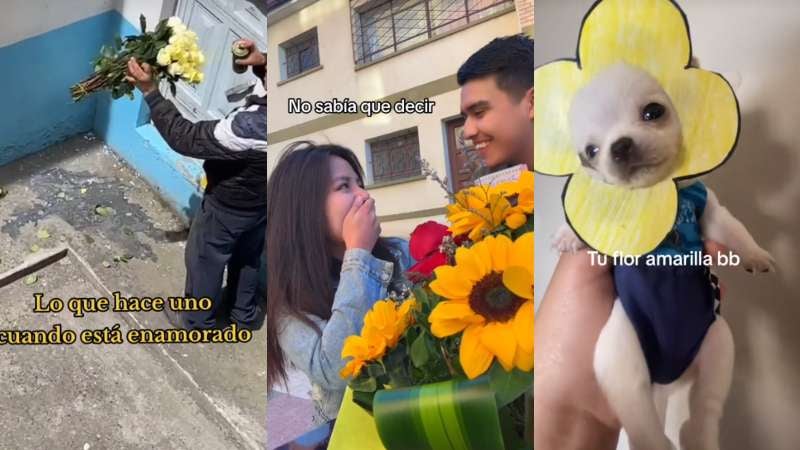 Tendencia flores amarillas