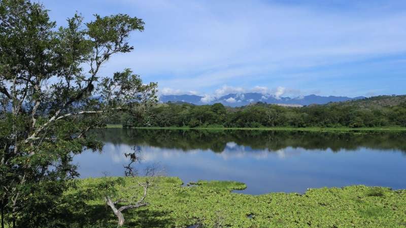 Laguna de Jucutuma