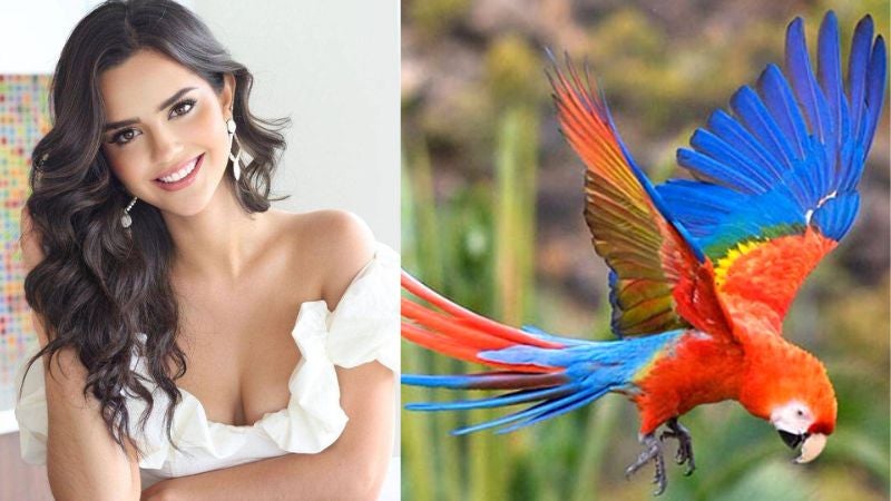 traje típico de Zu Clemente