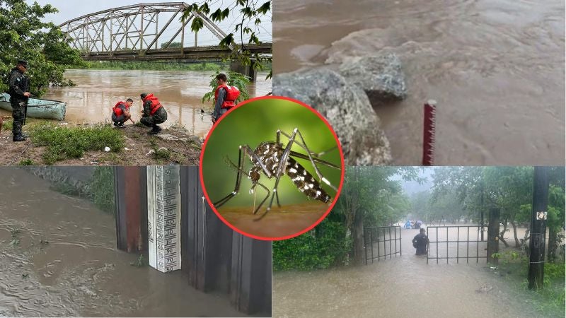 Aumento dengue temporal lluvioso