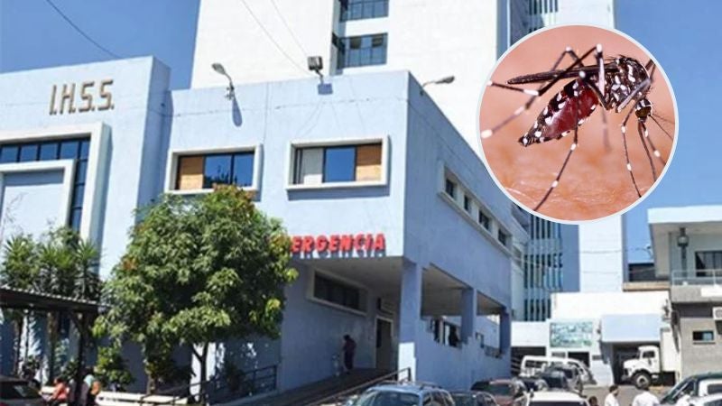 Menor muere por dengue en Tegucigalpa.