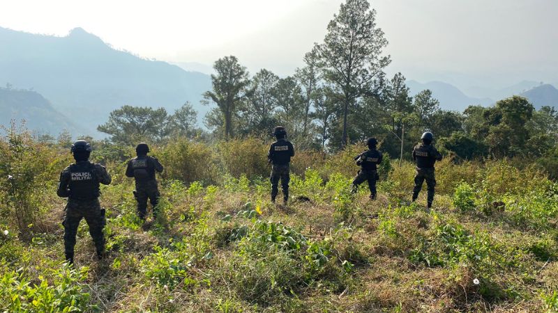Aseguran hojas de coca en Santa Bárbara