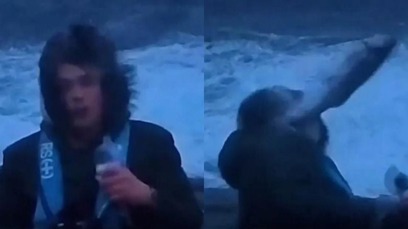 Pez golpea a reportero