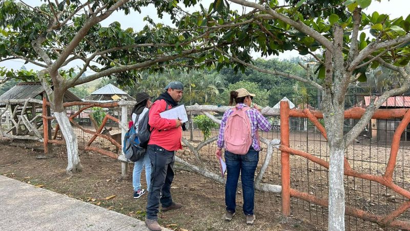 Eutanasia animales Joya Grande