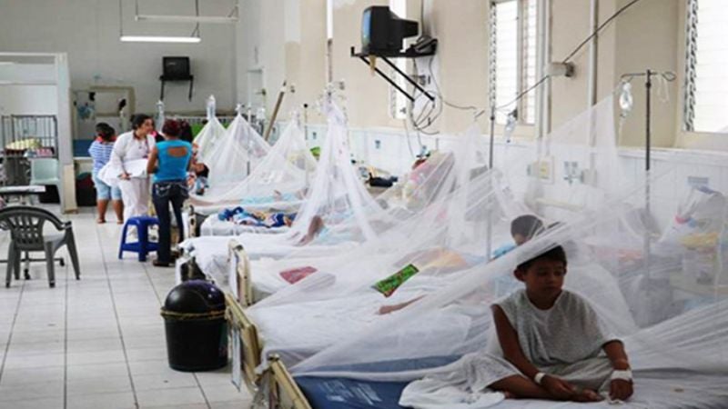 Dengue Niños con dengue