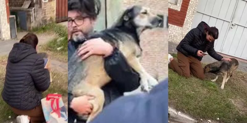 Reencuentro Joven durante un viaje encuentra a su perrito que había desaparecido hace tres años