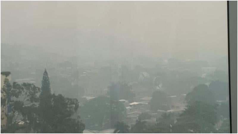 Empleados públicos retornan a oficinas