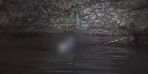 hallan cadáver de hombre en Comayagüela