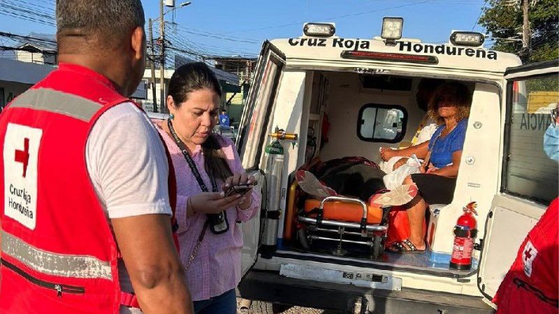 Rescatan norteamericana vulnerabilidad Ceiba Rescatan norteamericana vulnerabilidad Ceiba