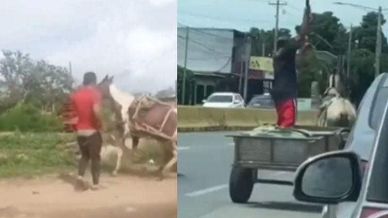 Untitled design - 2024-07-23T080113.714