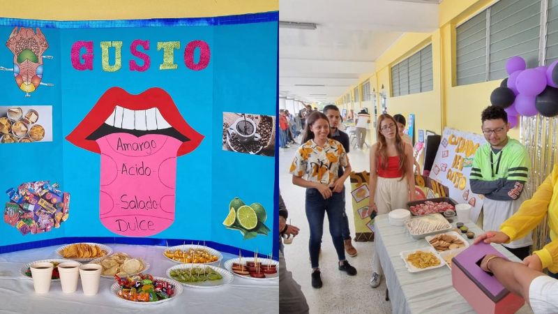 Expo Feria de los Sentidos Expo Feria de los Sentidos