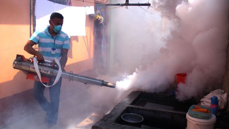 Sesal lanza campaña nacional de fumigación contra el Dengue