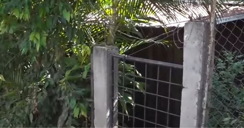 Encuentran cuerpo en avanzado estado de putrefacción en Tegucigalpa Encuentran cuerpo en avanzado estado de putrefacción en Tegucigalpa