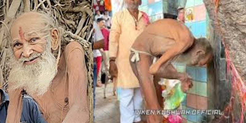 Encuentra en una extraña cueva a un anciano que dice tener 188 años Encuentra en una extraña cueva a un anciano que dice tener 188 años