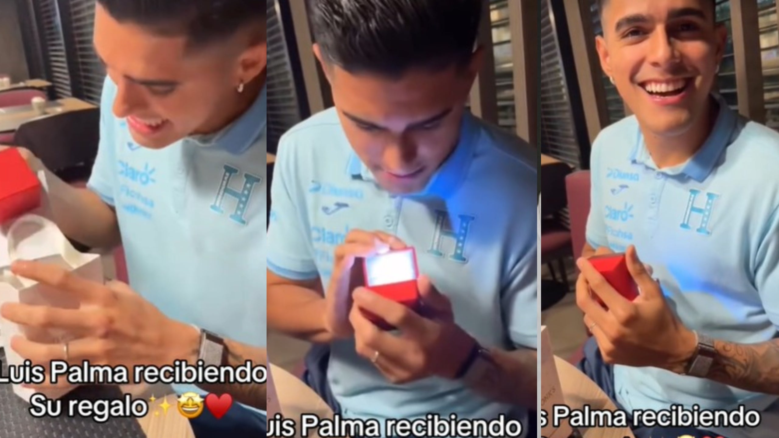 Luis Palma Luis Palma