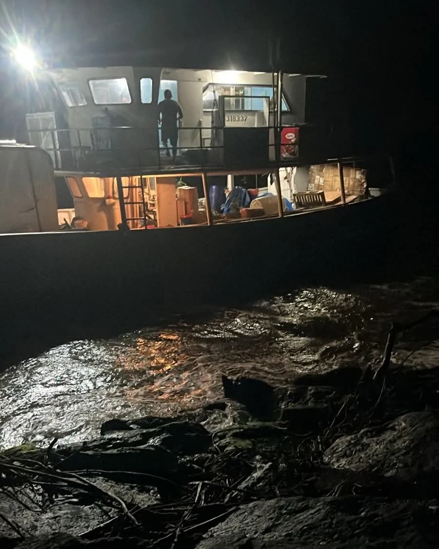 Carguero Puerto de La Ceiba
