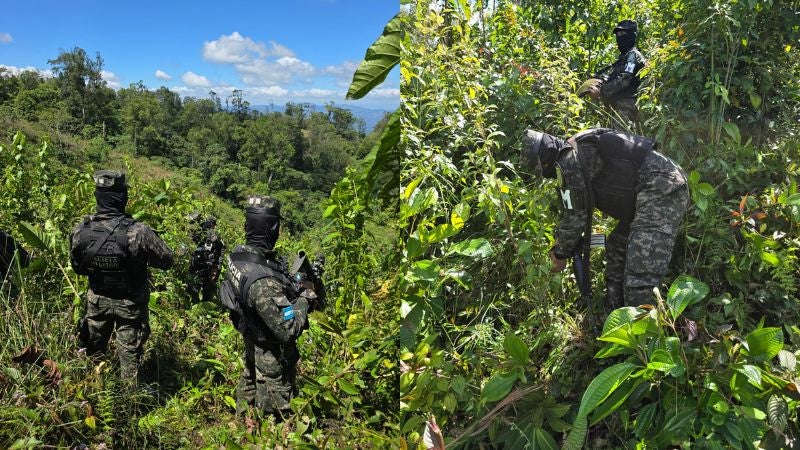 Coca Patuca 1
