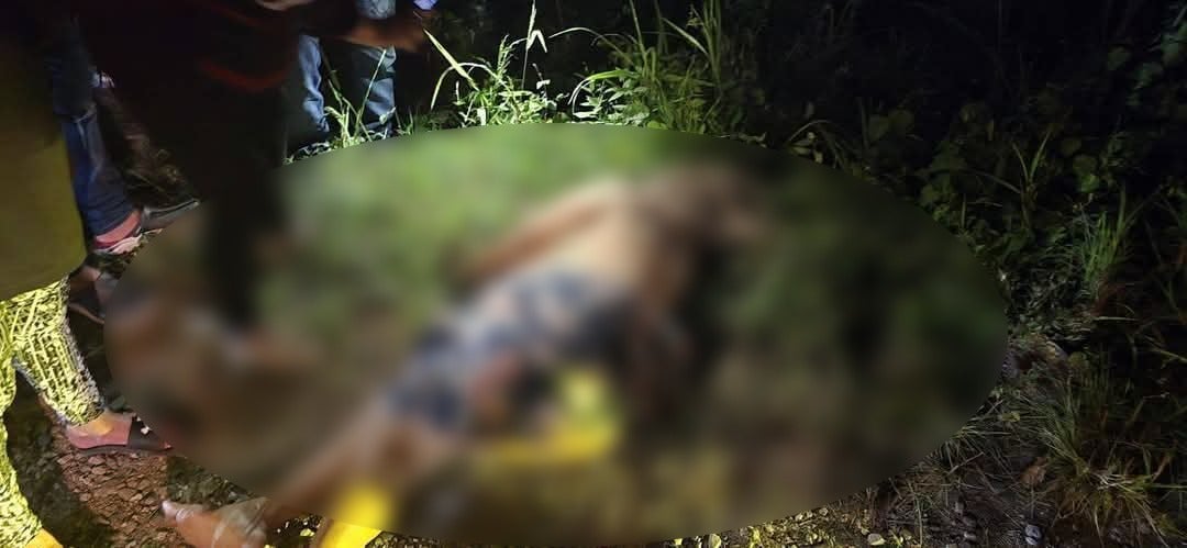 Pastora muere atropellada en la CA-13