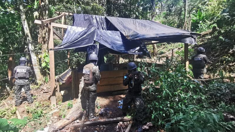 La FFAA desmantela arbustos de coca