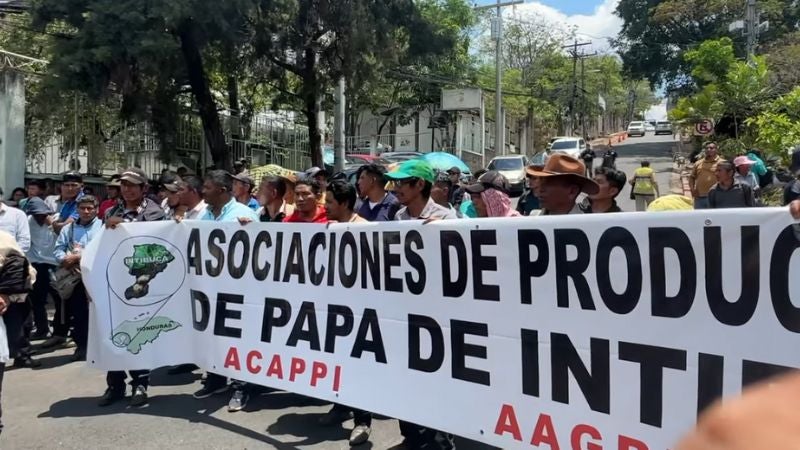 Campesinos piden frena ingreso de papa al país