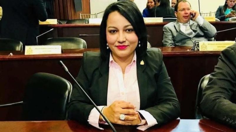 Diputada Ariana Banegas