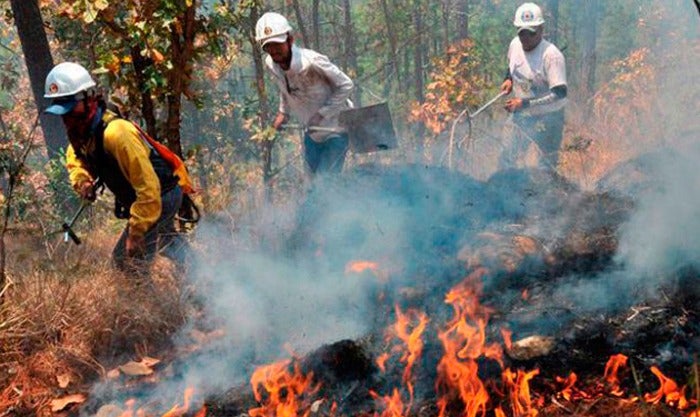 Incendios forestales en Honduras
