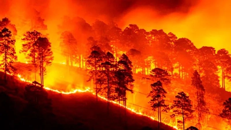 Incendios forestales en Honduras