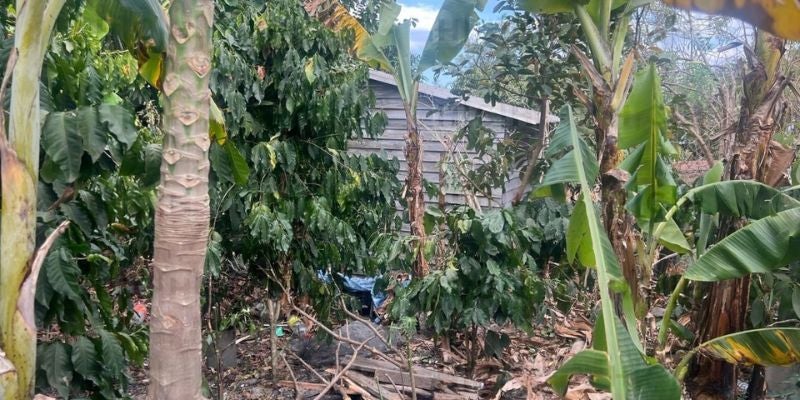 Acto de valentía que terminó en tragedia: Joven muere al salvar a su primo en TGU