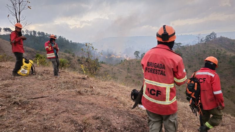Incendio Refugio de Vida Silvestre Suyapa