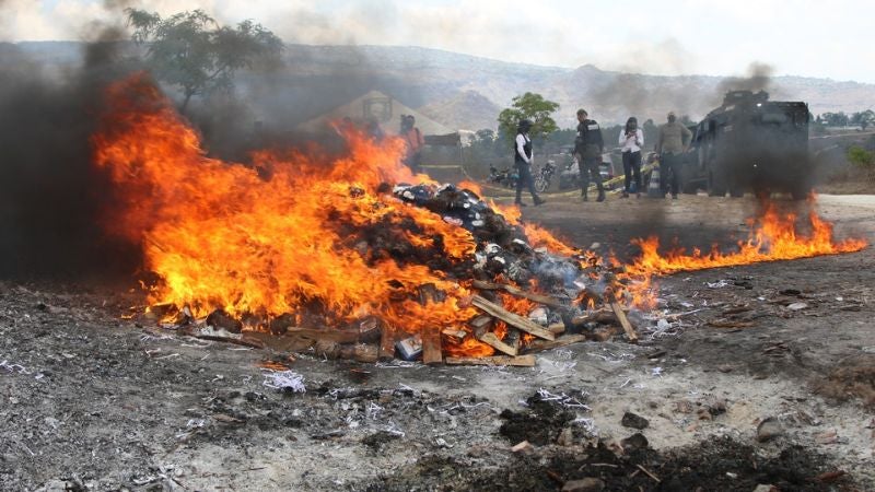Incineran cocaína marihuana Tegucigalpa