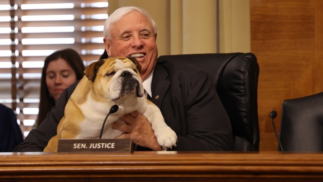 Senador rompe protocolo al llevar a su perrita Congreso