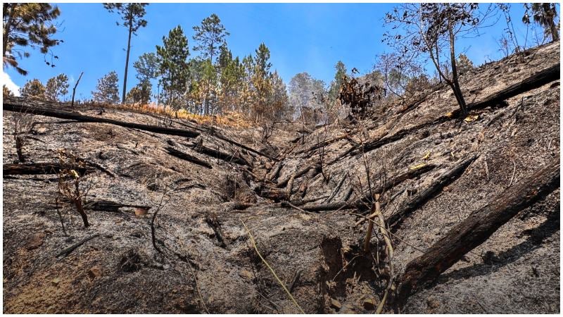 PGR presenta requerimiento judicial