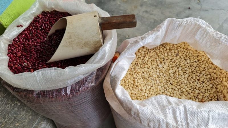 Aumenta precio del Maíz y los Frijoles Aumenta precio del Maíz y los Frijoles