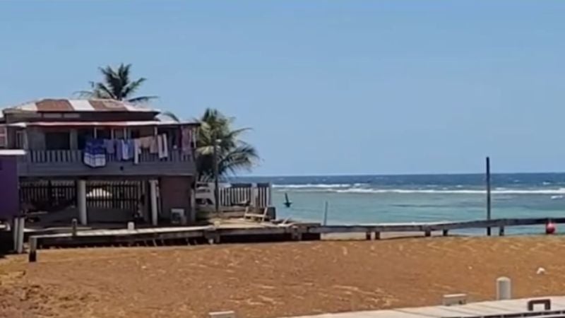 Contaminación Sargazo Roatán