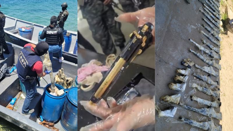 Armas oro Brus Laguna