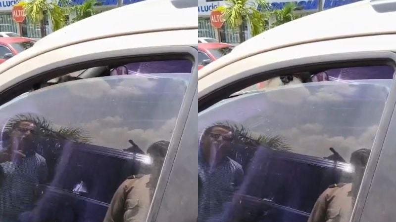 Perro encerrado San Pedro Sula