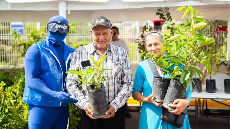 Planta un arbol UNO 1