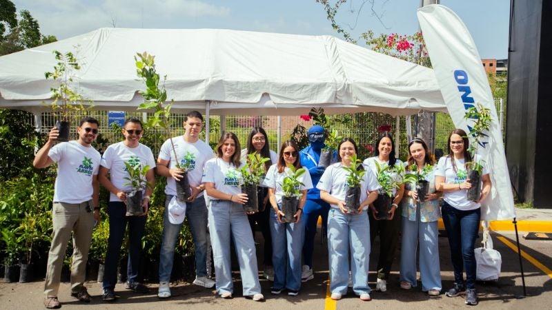 Planta árbol UNO Terra