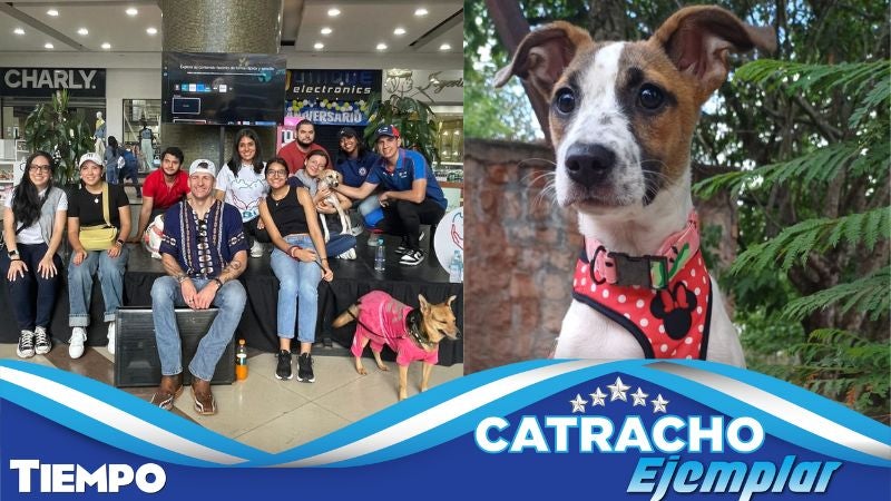 Organización ARI Honduras