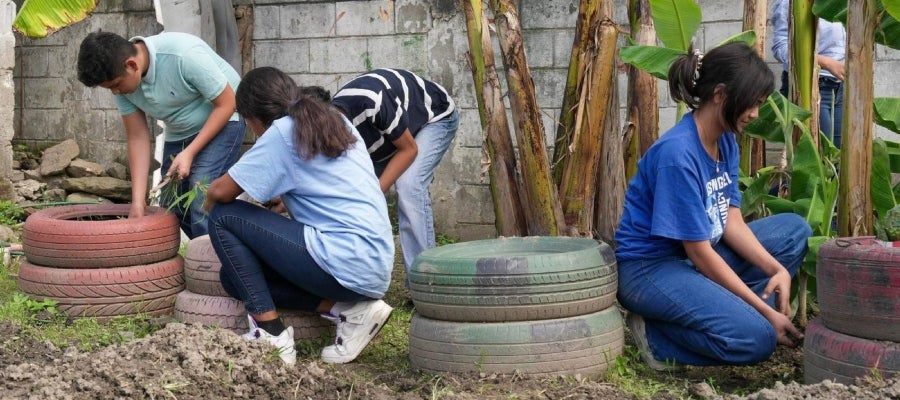 Huertos Escolares