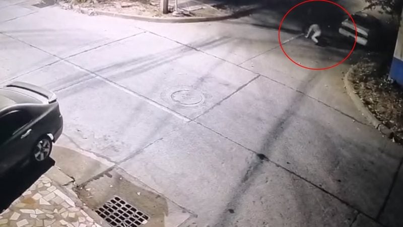 cámaras graban ataque con machete a una mujer