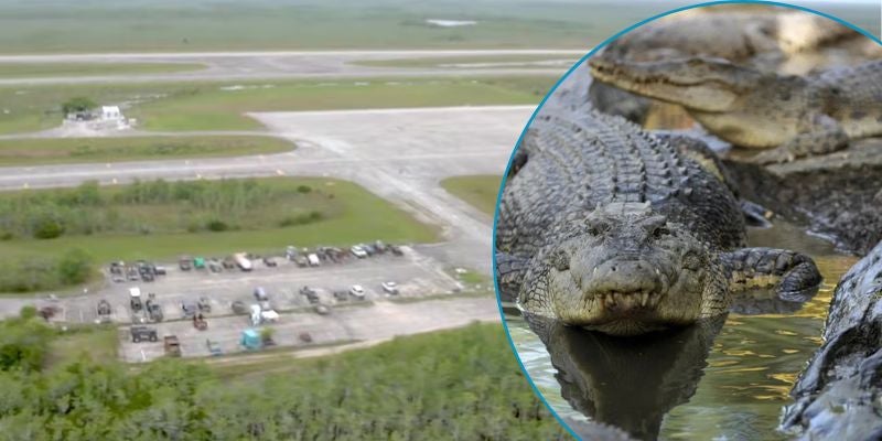 Nuevo centro migratorio estará rodeado de caimanes como medida disuasiva